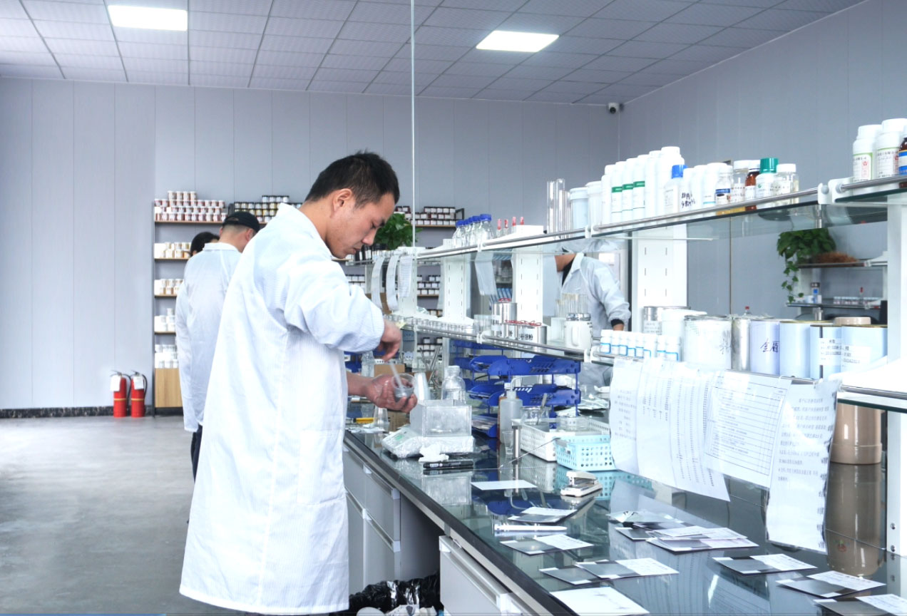 Tampilan laboratorium